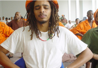 Prisoner Rehabilitation